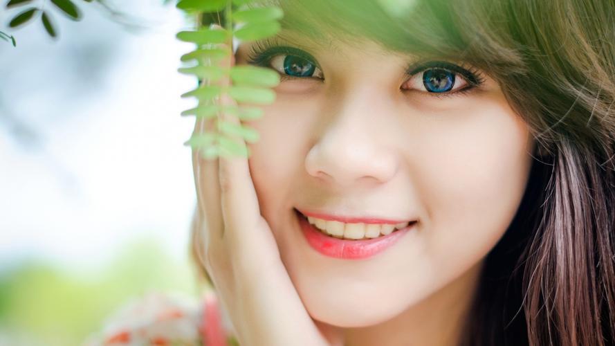 国家二级重点保护野生植物茶果樟在云南新增多个分布点